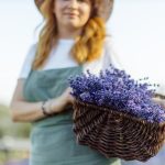 Bíborka árnyékában: hogyan találjuk meg a kert nyugalmát egy visszafogott virág szelíd erejével?