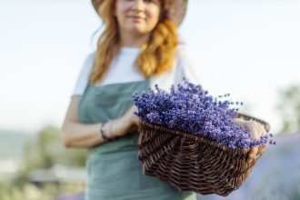 Bíborka árnyékában: hogyan találjuk meg a kert nyugalmát egy visszafogott virág szelíd erejével?