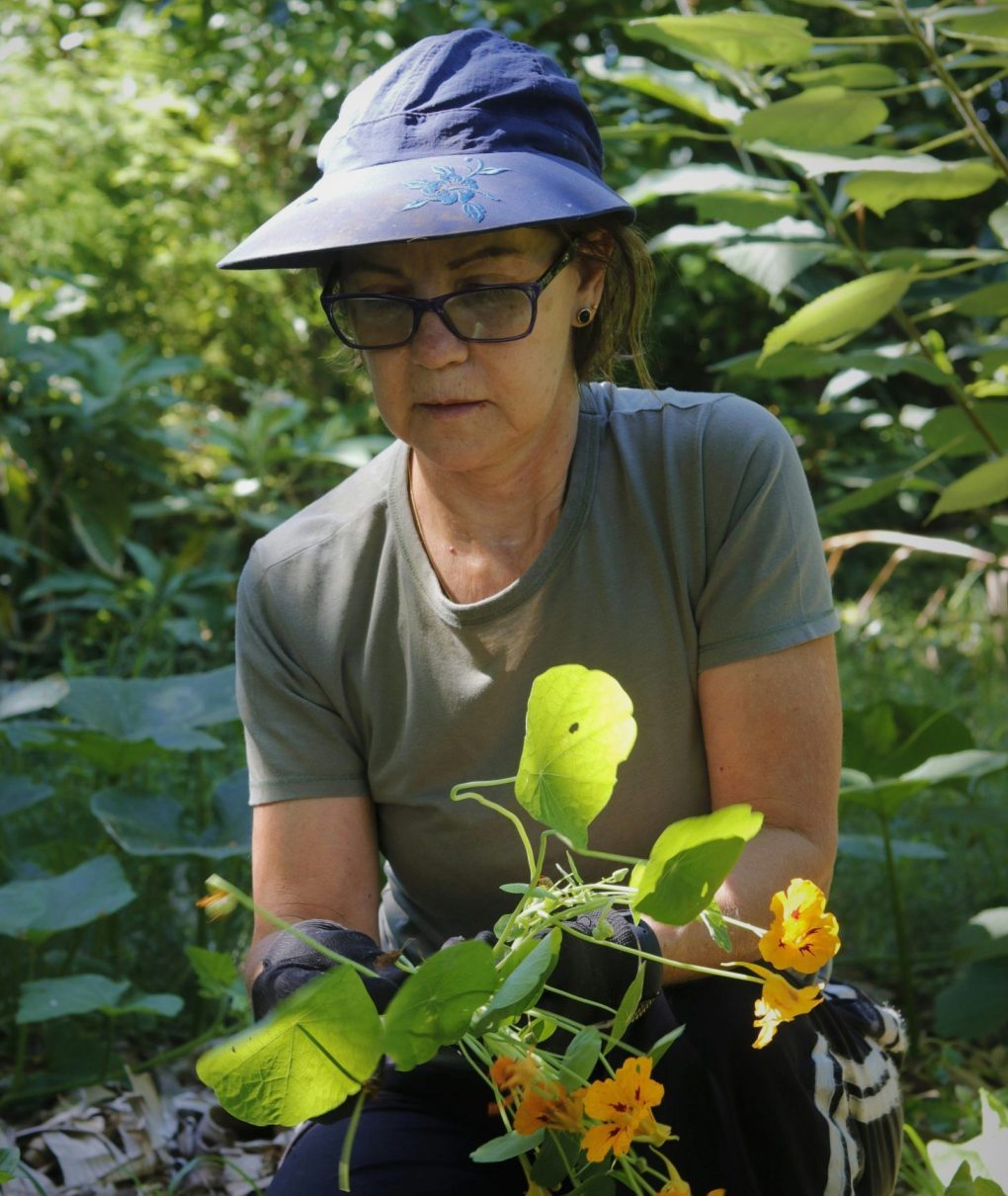 Boróka Mirtill