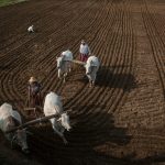 Miért nem elég az őszi talajelőkészítés önmagában? – A bőséges termés valódi titka lépésről lépésre