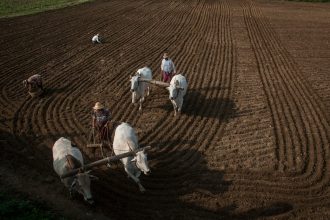 Miért nem elég az őszi talajelőkészítés önmagában? – A bőséges termés valódi titka lépésről lépésre