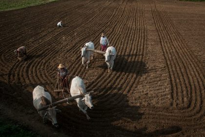 Miért nem elég az őszi talajelőkészítés önmagában? – A bőséges termés valódi titka lépésről lépésre