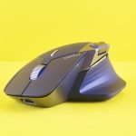 Egérdinnye (Melothria) termesztése 2.0: Tudományos alapokon nyugvó módszerek a hatékony gondozáshoz és szaporításhoz