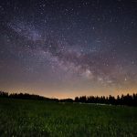 Csillagpázsit őrület: Így varázsolj zöld szőnyeget a kertedbe, ami minden lépésnél életre kel!