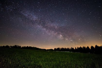 Csillagpázsit őrület: Így varázsolj zöld szőnyeget a kertedbe, ami minden lépésnél életre kel!