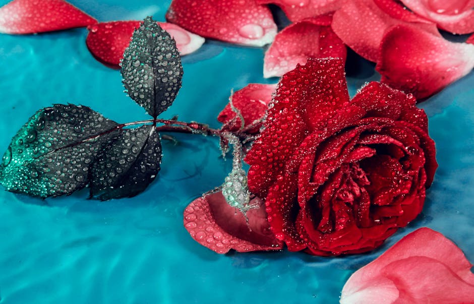 Amikor a rózsa levelei úgy döntenek, hogy szabadságra mennek – mi áll a levélhullás kulisszatitkai mögött?