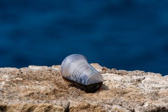Hatékony gyomirtás mellékhatások nélkül: Lépésről lépésre a biztonságos használathoz