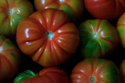 Miért marad zöld a paradicsomod? A leggyakoribb érési hiba, amit minden kertész elkövet – és hogyan kerülheted el!