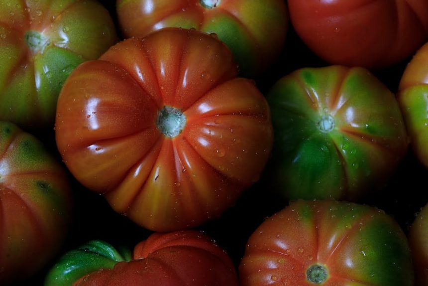 Miért marad zöld a paradicsomod? A leggyakoribb érési hiba, amit minden kertész elkövet – és hogyan kerülheted el!