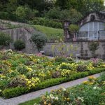 Augusztus titkos kertje: Miért hajt meg most a paradicsom, amikor már mindenki a szüretre készül?