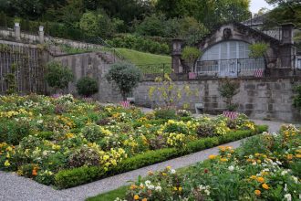 Augusztus titkos kertje: Miért hajt meg most a paradicsom, amikor már mindenki a szüretre készül?