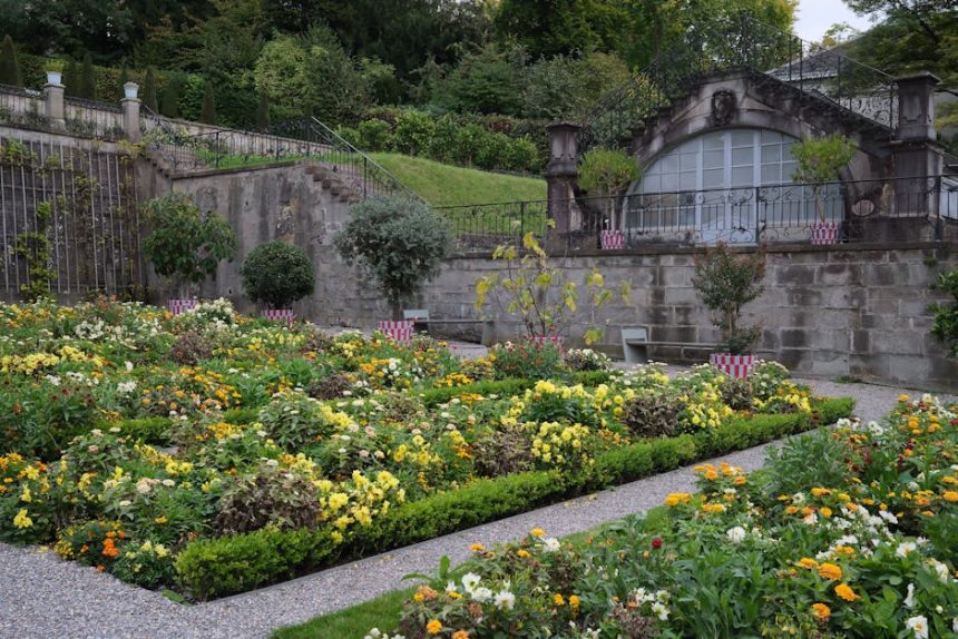 Augusztus titkos kertje: Miért hajt meg most a paradicsom, amikor már mindenki a szüretre készül?