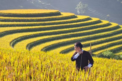 Így válassz és időzíts őszi vetésű szántóföldi növényeket, ha nem akarsz tavasszal a hó alatt várakozni – tapasztalt gazda tanácsai lépésről lépésre