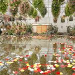 Üvegházban terem: Hogyan hozhatjuk ki a legtöbbet kertünk védett zugából?