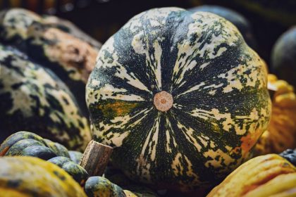 Zöldségszüret mestersége: Így őrizd meg a kerted ízeit egész télen, miközben a természet is hálás lesz!