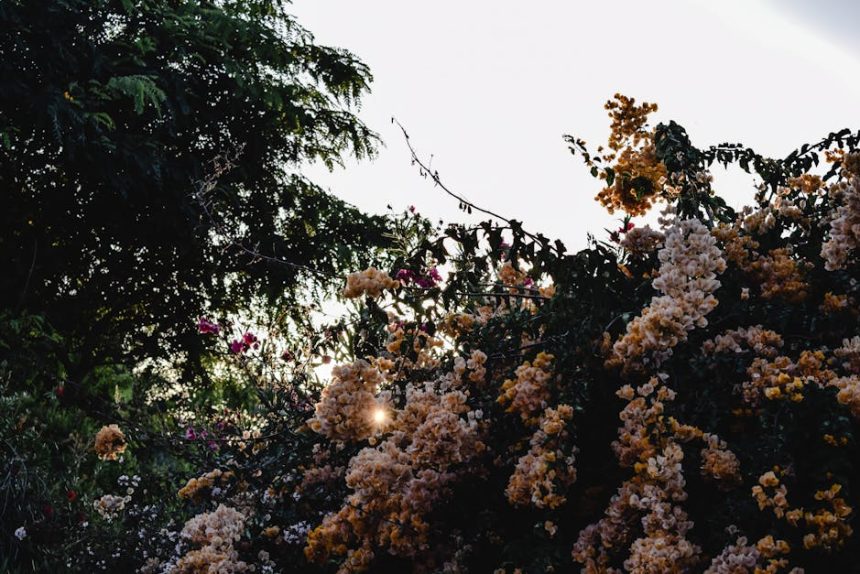 Mediterrán kert lépésről lépésre: az egyszerű elemek, amelyek otthonossá teszik a déli tájak nyugalmát