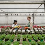 Milyen virágfajták gondozása: így kerüld el a túlöntözés leggyakoribb buktatóját lépésről lépésre