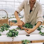 Mikor a metszés árthat: így óvd meg fás szárú növényeid egészségét a túlzásba vitt beavatkozástól