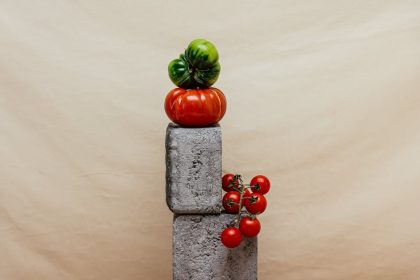 Valóban a napfény hiánya áll a paradicsompirosodás útjában?