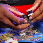 Valóban elég egyetlen metszés a szobakőris egészséges növekedéséhez?