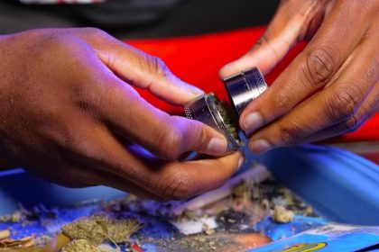 Valóban elég egyetlen metszés a szobakőris egészséges növekedéséhez?