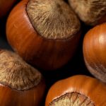 Hogyan éled túl a török mogyoró nehéz kezdését? Gyors gyakorlati útmutató a sikeres ültetéshez és szaporításhoz!