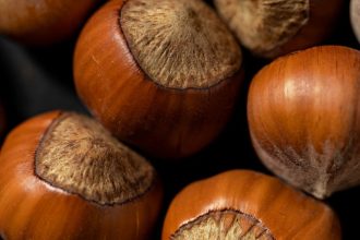 Amikor a török mogyoró nem csak mogyoró: titkok a fa, ami a városi dzsungelben is otthon érzi magát