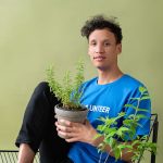 Rozmaring a kertben: miért válik a túlzott gondoskodás az illatos cserje ellenségévé?