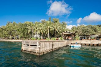 Korallbogyó a lakásban: hogyan hozd ki a legtöbbet a kis bogyós növény különleges leveleiből?