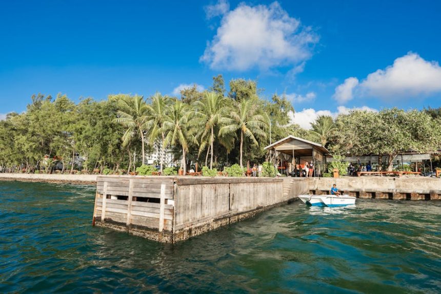 Korallbogyó a lakásban: hogyan hozd ki a legtöbbet a kis bogyós növény különleges leveleiből?