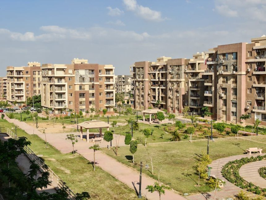 Hogyan tartsd zölden és egészségesen a pázsitod nyáron: 5 lépés a forró hónapokra szabva