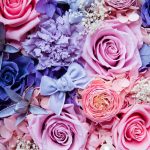 Tollas Szegfű: A Színes Tavasz Titkos Fegyvere, Amit Most Azonnal Ültetned Kell!