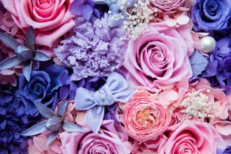 Tollas Szegfű: A Színes Tavasz Titkos Fegyvere, Amit Most Azonnal Ültetned Kell!