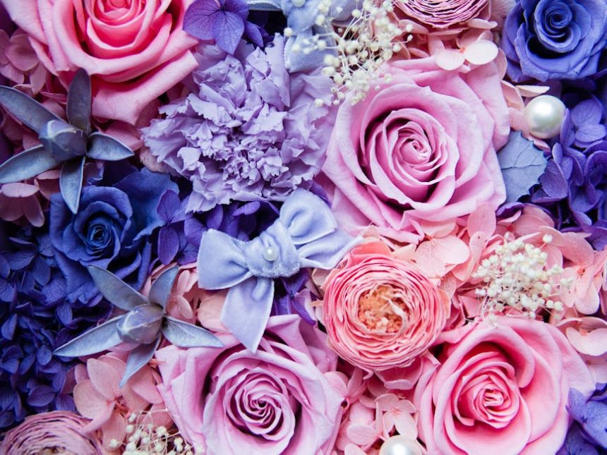 Tollas Szegfű: A Színes Tavasz Titkos Fegyvere, Amit Most Azonnal Ültetned Kell!