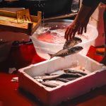 Vakondhálóval a kert békéjéért: Tapasztalatok a természetes védelem útján