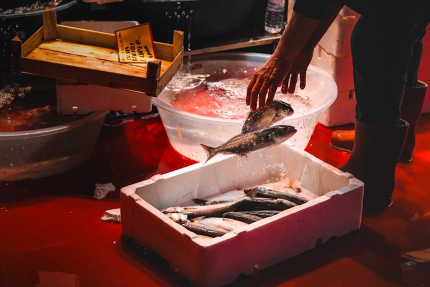 Vakondhálóval a kert békéjéért: Tapasztalatok a természetes védelem útján