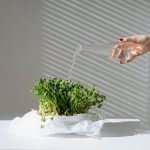 7 Turbolya-trükk, amit a kerted is megköszön – ígérem, nem csak a fűszerszekrényed lesz hálás!