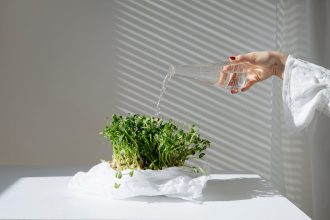 7 Turbolya-trükk, amit a kerted is megköszön – ígérem, nem csak a fűszerszekrényed lesz hálás!