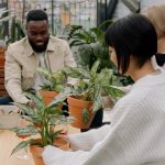 Valóban árt a szobanövényeknek a metszés, vagy épp ellenkezőleg, segíti fejlődésüket?