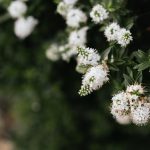 Tavaszi ébresztő a kertben: Hogyan ébreszd fel a föld alvó lakóit lépésről lépésre