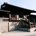 Japán babérsom: Miért fullad meg a növényed az árnyékban, és hogyan biztosítsd a megfelelő fényt lépésről lépésre?