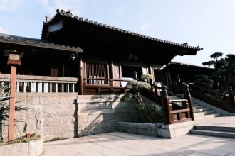 Japán babérsom: Miért fullad meg a növényed az árnyékban, és hogyan biztosítsd a megfelelő fényt lépésről lépésre?