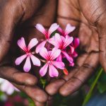 Ne Áztasd Halálra a Muskátlit! Így Öntözd, Ha Tényleg Virágzó Marad!