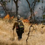 „Miért sárgul a tavasszal ültetett gyepem itt-ott, és hogyan ne hagyjam, hogy a foltok átvegyék a hatalmat a kertemben?”