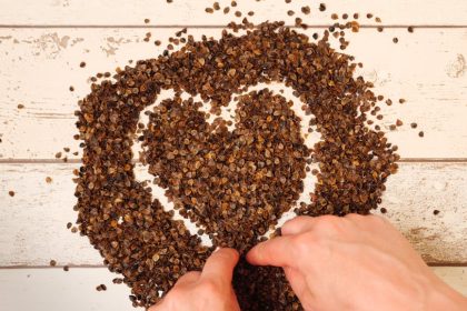 Hajdina a kertben: hogyan válhat a házi veteményes legvagányabb sztárjává?