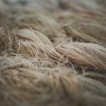 Borzas len a kertben: így úszd meg a túlöntözés miatti sárgás leveleket egyszerűen