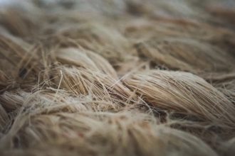 Borzas len a kertben: így úszd meg a túlöntözés miatti sárgás leveleket egyszerűen