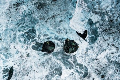 Ha a kerted téli mesevilággá válik: fagyöngy, ami nem csak dísz, de titkos madárváró is