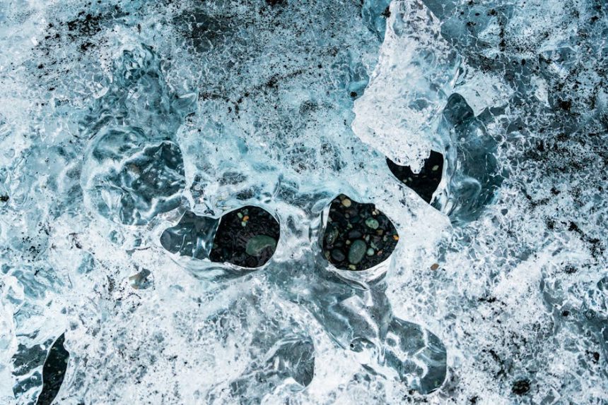 Ha a kerted téli mesevilággá válik: fagyöngy, ami nem csak dísz, de titkos madárváró is