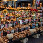 Amikor a hagymás boglárka megtanította a kertet türelemre – egy lassan bontakozó tavaszi történet